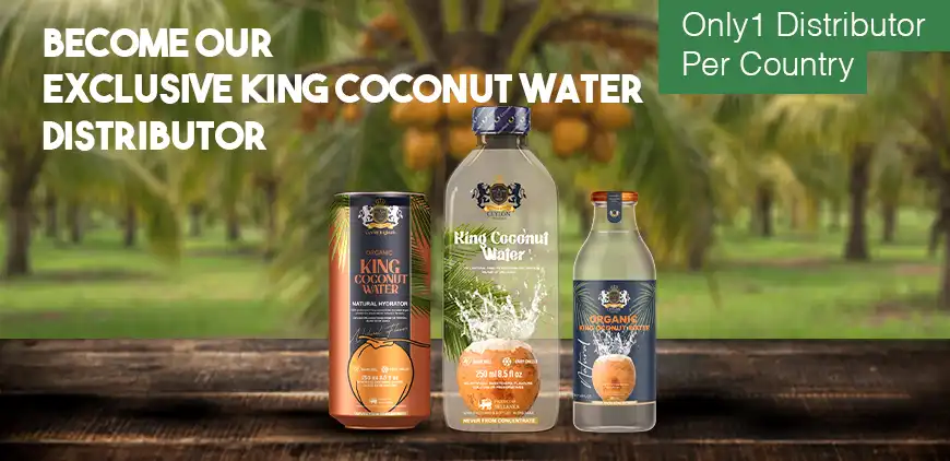 Ceylon products category showcase